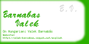 barnabas valek business card